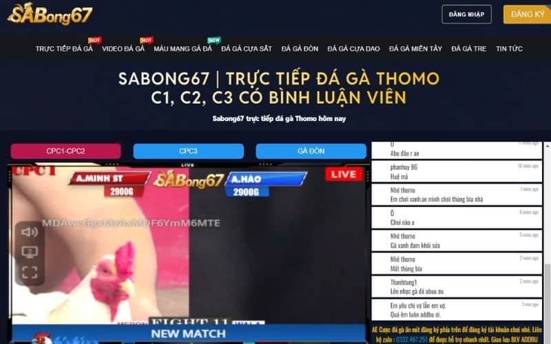 Sabong67 là trang đá gà uy tín có giấy phép hoạt động minh bạch