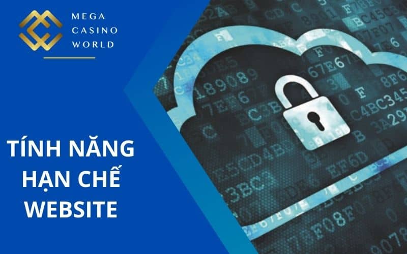 Thiết bị truy cập có tính năng hạn chế website