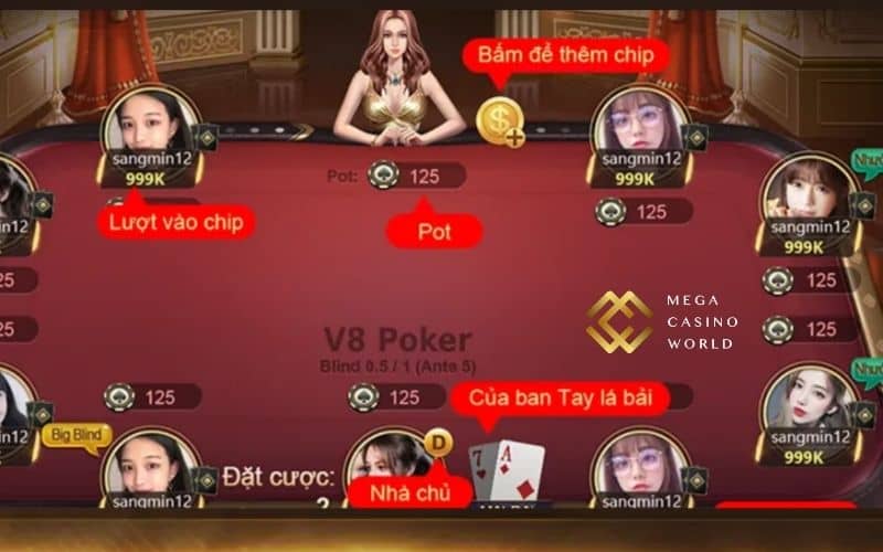 Xì tố online là game bài mà người chơi sẽ đối đầu với nhau qua các vòng đấu